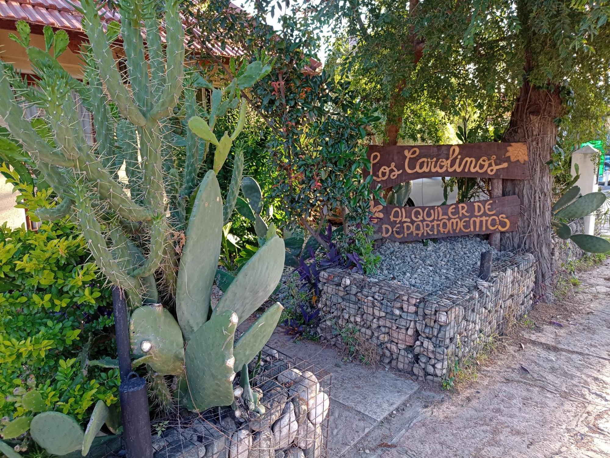 Los Carolinos Departamentos Villa Carlos Paz Zewnętrze zdjęcie